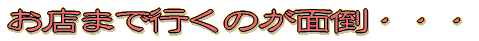 ���X�܂ōs���̂��ʓ|�E�E�E 